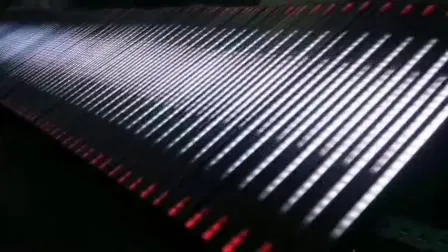 Programable Pixel LED Ws2813 60LED DC5V Strip Light for Ads