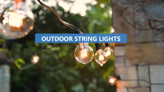 24.6FT Fairy String Light G40 LED Globe Party Garland String Light Warm White 15 Clear Vintage Bulbs Decorative Outdoor Backyard